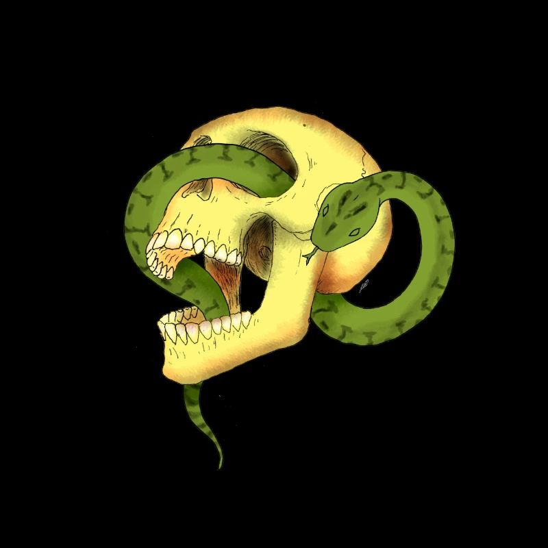 Skull with snake
