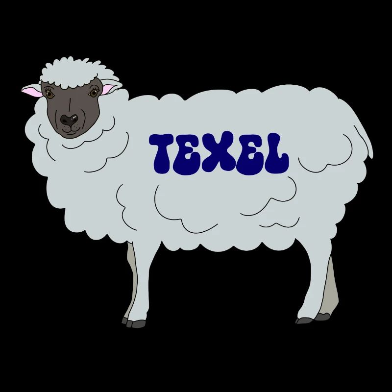 Texel sheep