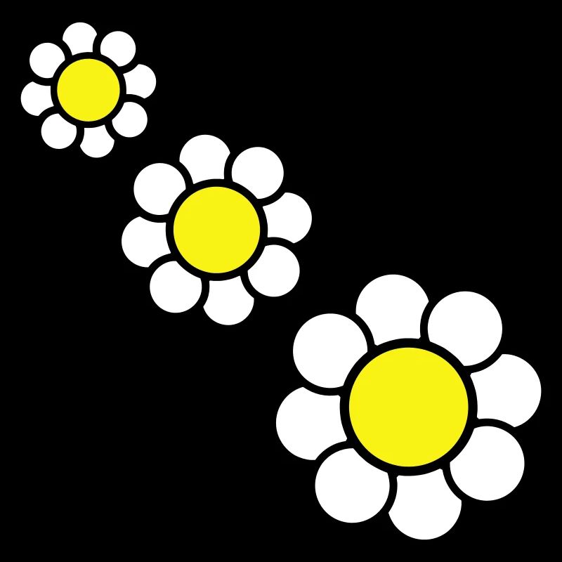 3 Marguerites Blanches Fleurs Printemps Eté Jolie