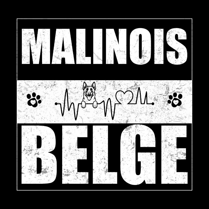 Belgischer Malinois Belgischer Malinois
