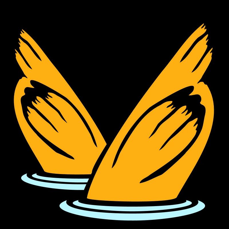 2 canards plongée sous-marin tête lac eau potable