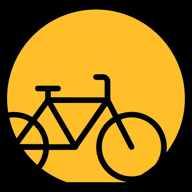 Bicycle In The Moonlight