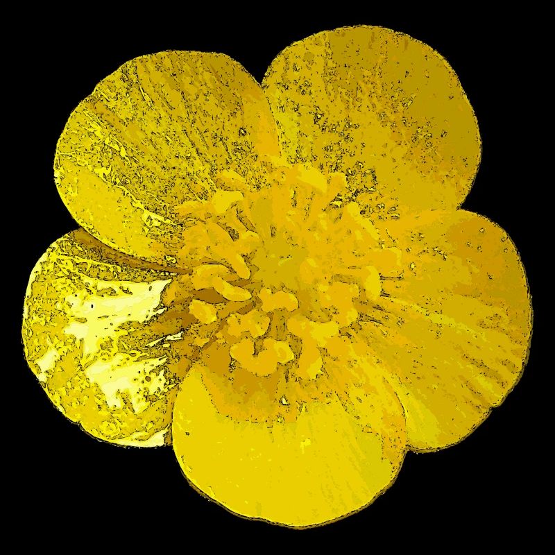 Fleur belle fleur fleur printemps design