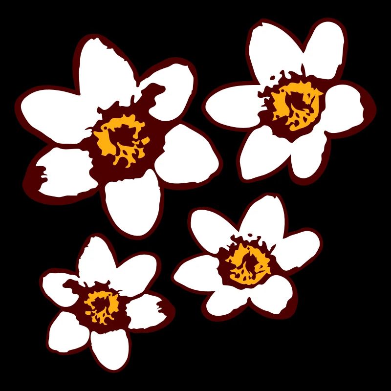 4 Weiße Margeriten Blumen Frühling Sommer Blümchen