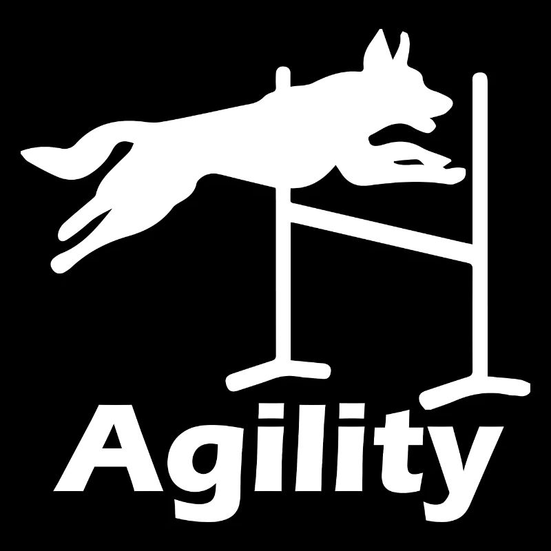 Agilité de chien de chien