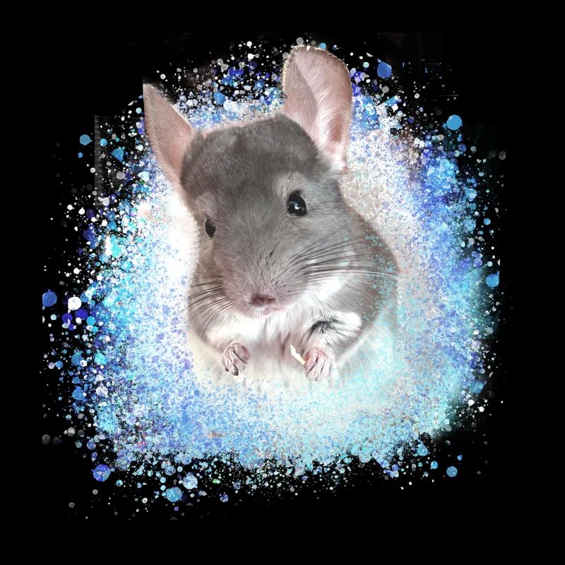 chinchilla,graffiti,painting,angora rabbit