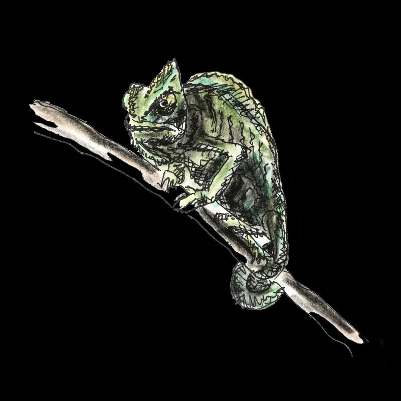 chameleon