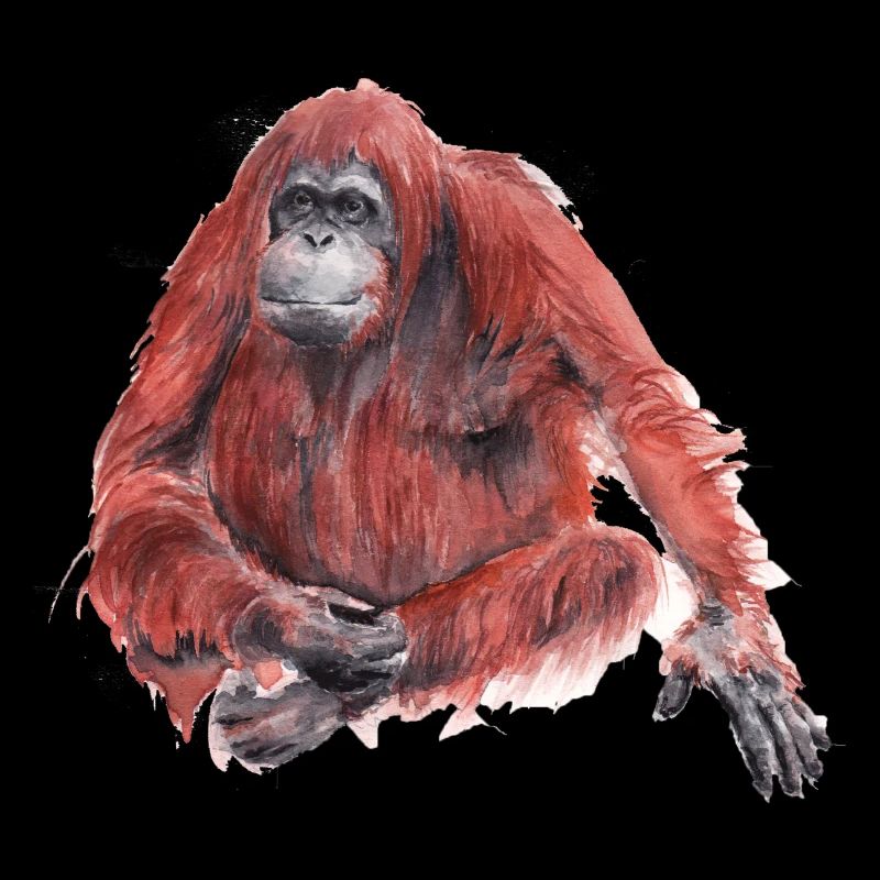 Orangutan