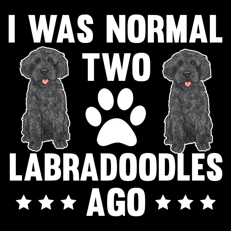 Labradoodle Hund