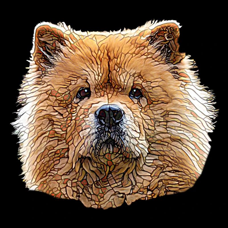 Chow Chow Face