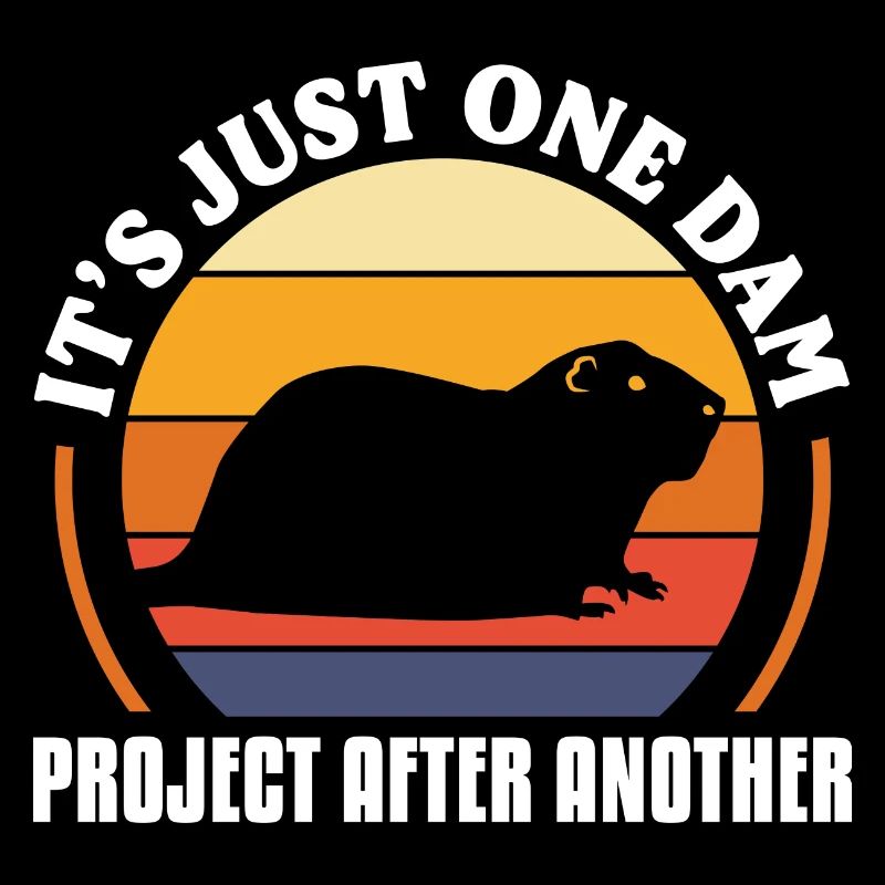 Its just one dam project after another
