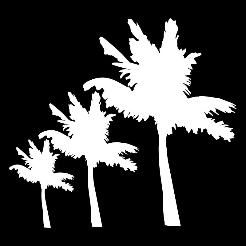 3 Palmiers Île Arbre Plage Vacances Mer de