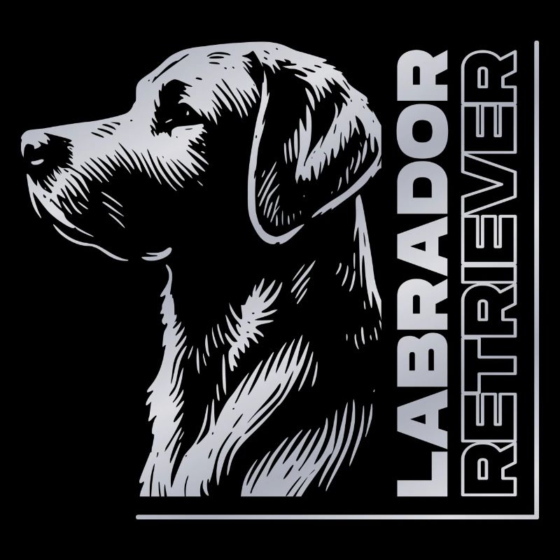 Labrador Zeichnung Kopf silber