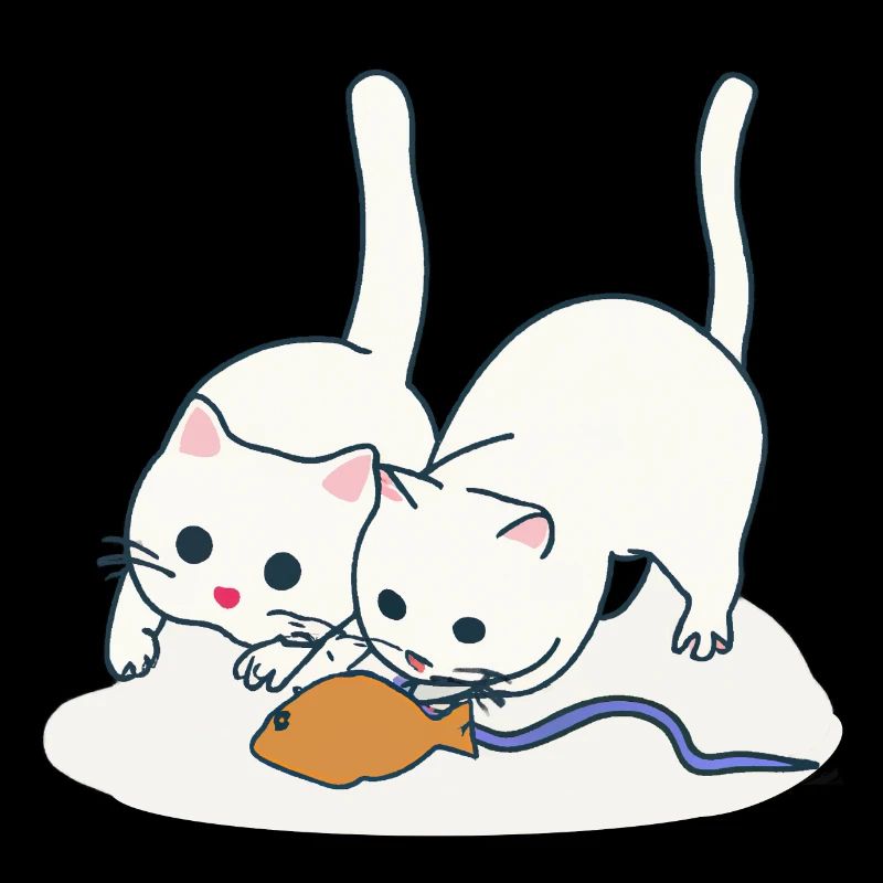 Two playing cats