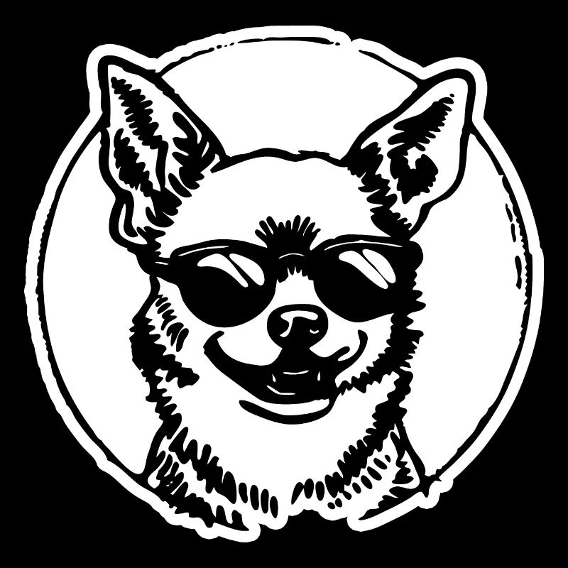 Chihuahua Hund