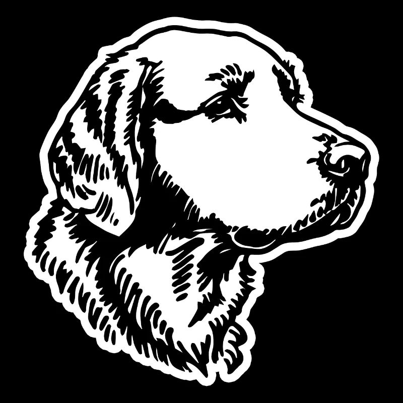 Golden Retriever Hund Hunde