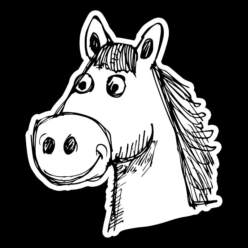Pferd Pferde Reiten Reiter Reiterin