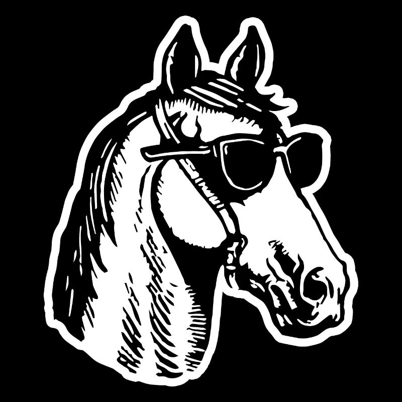 Pferd Pferde Reiten Reiter Reiterin