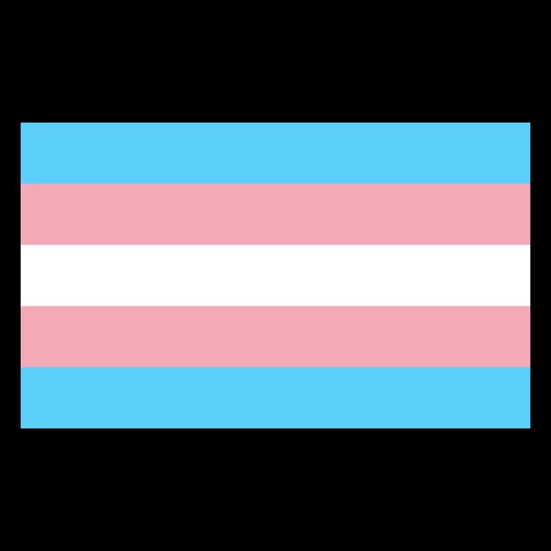 Trans Flag