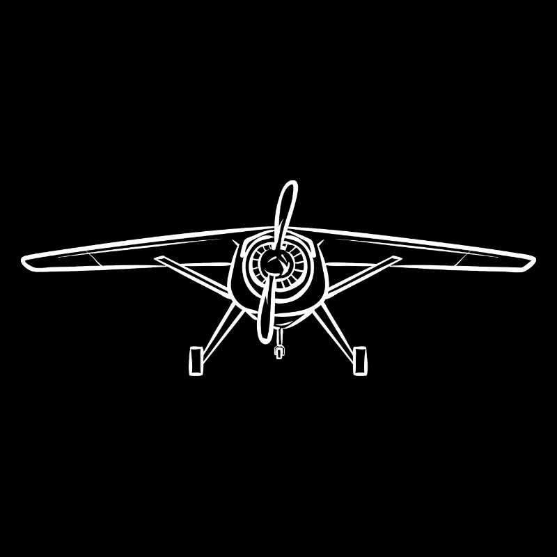 Remote Controlled Airplane Model Airplane