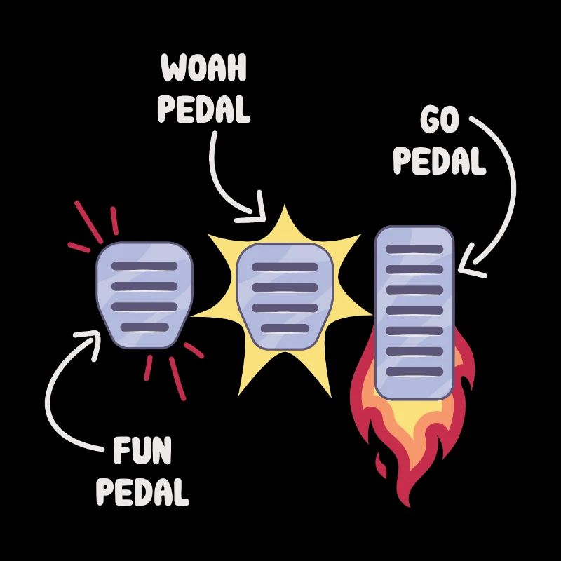 Manual circuit pedals / driving school driving instructor