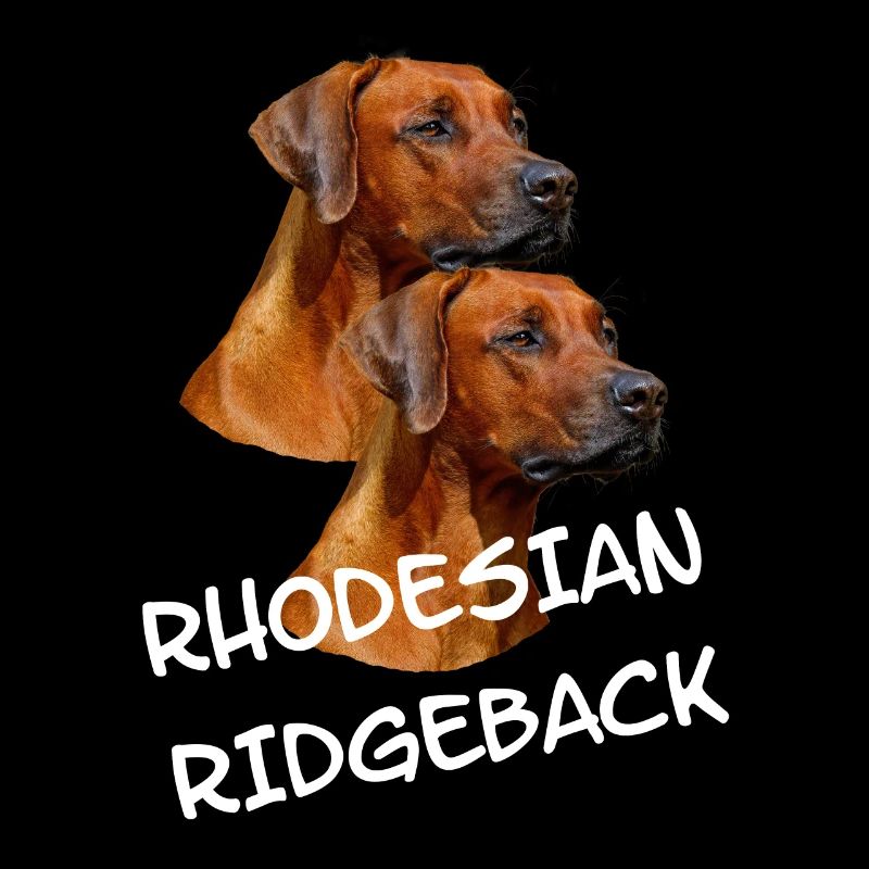 Rhodesian Ridgeback dogs