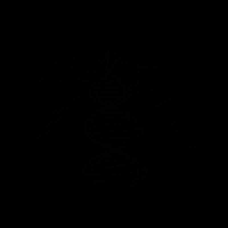 Decryption DNA DNA Code Knitting
