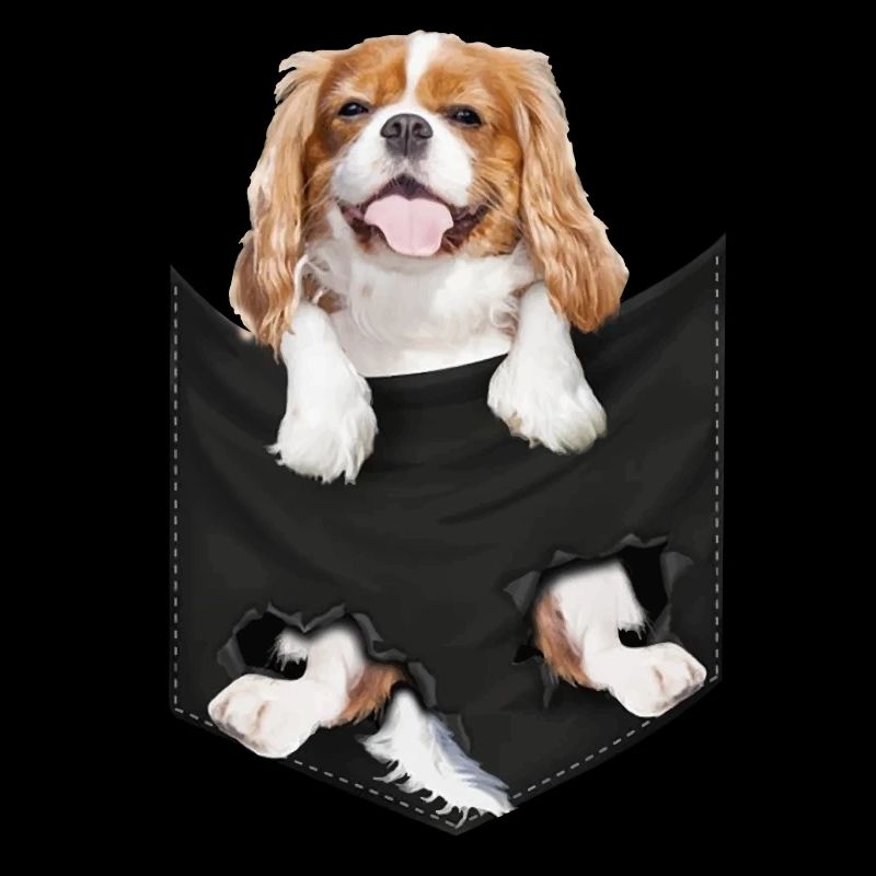 Cavalier King Charles Spaniel Pocket