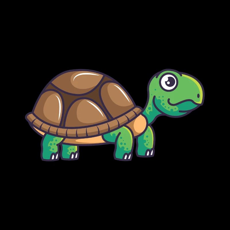 Land tortoise turtle pet