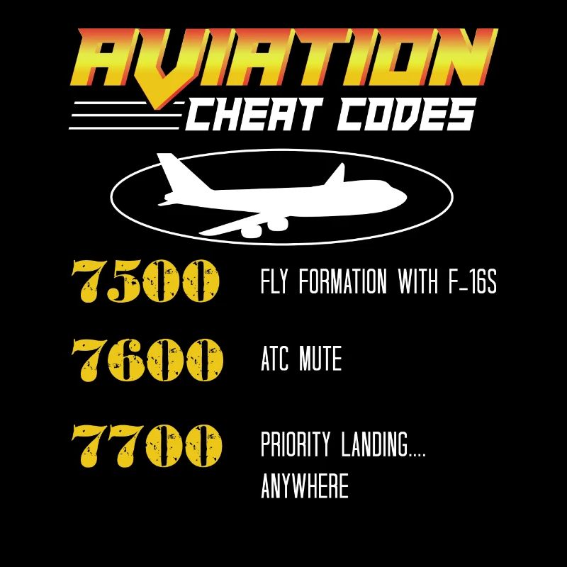 Aviation Cheat Codes Geschenk, Aviation Geschenk,