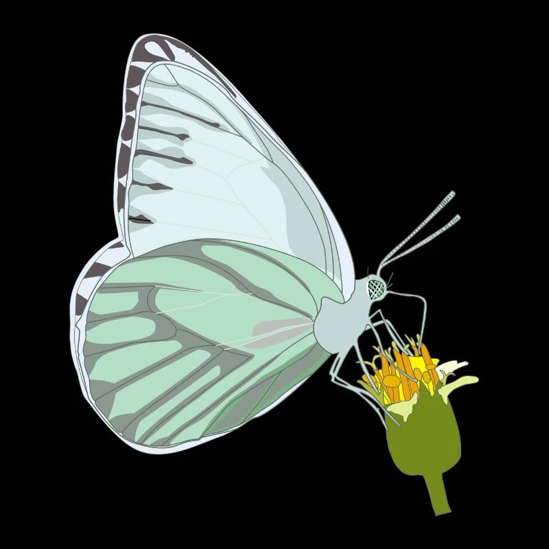 Papillon avec fleur
