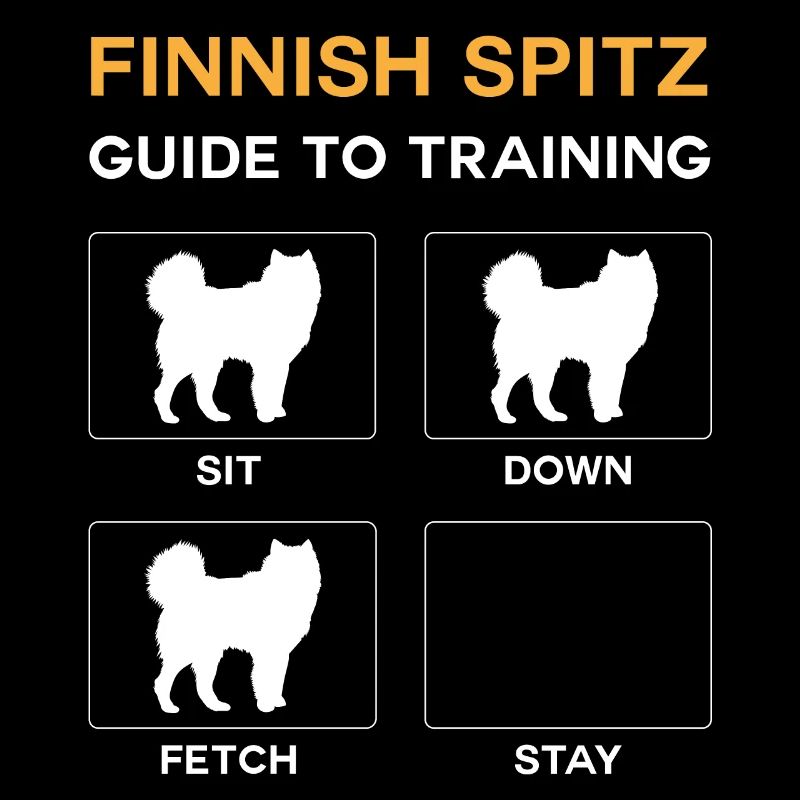 Finnish Spitz Guide To Training