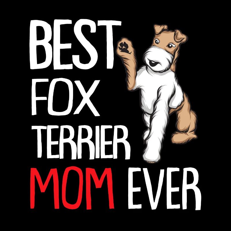 Foxterrier Drahthaar | Foxterrier