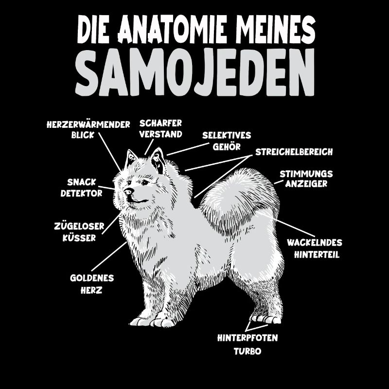 Samojede Anatomie Witziges Hundehalter Gassi