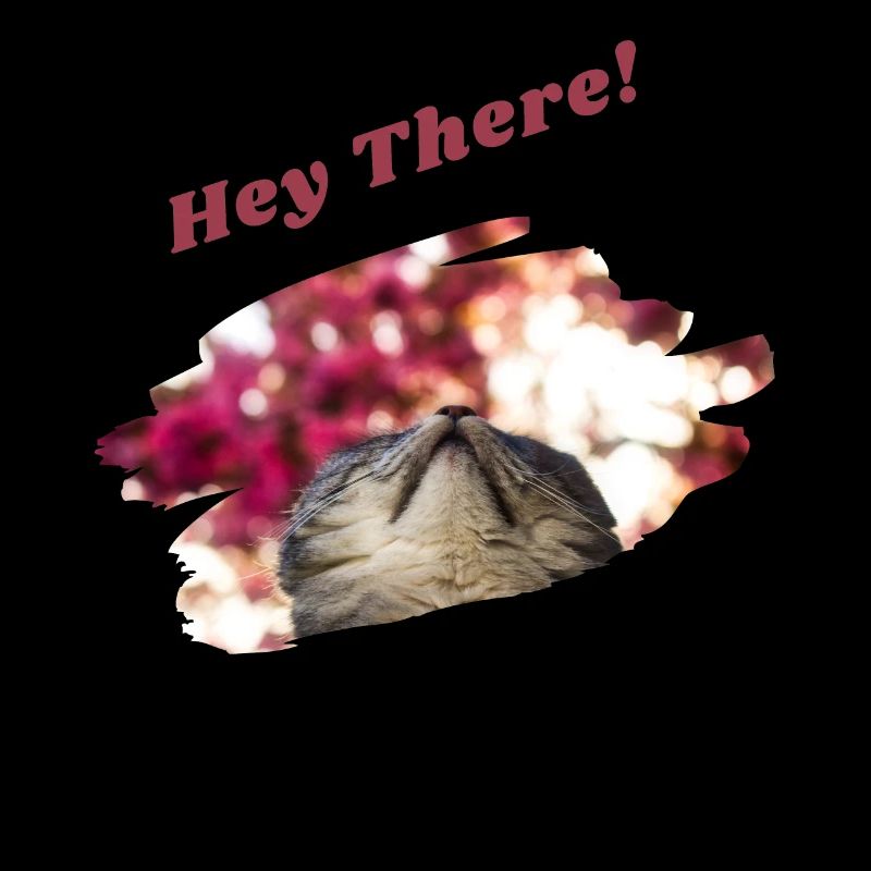 Hey there Katze Katzenspruch Britisch Kurzhaar Fun