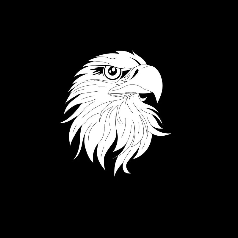 Bird of Prey Head Predator Eagle Falcon Hawk Hawk