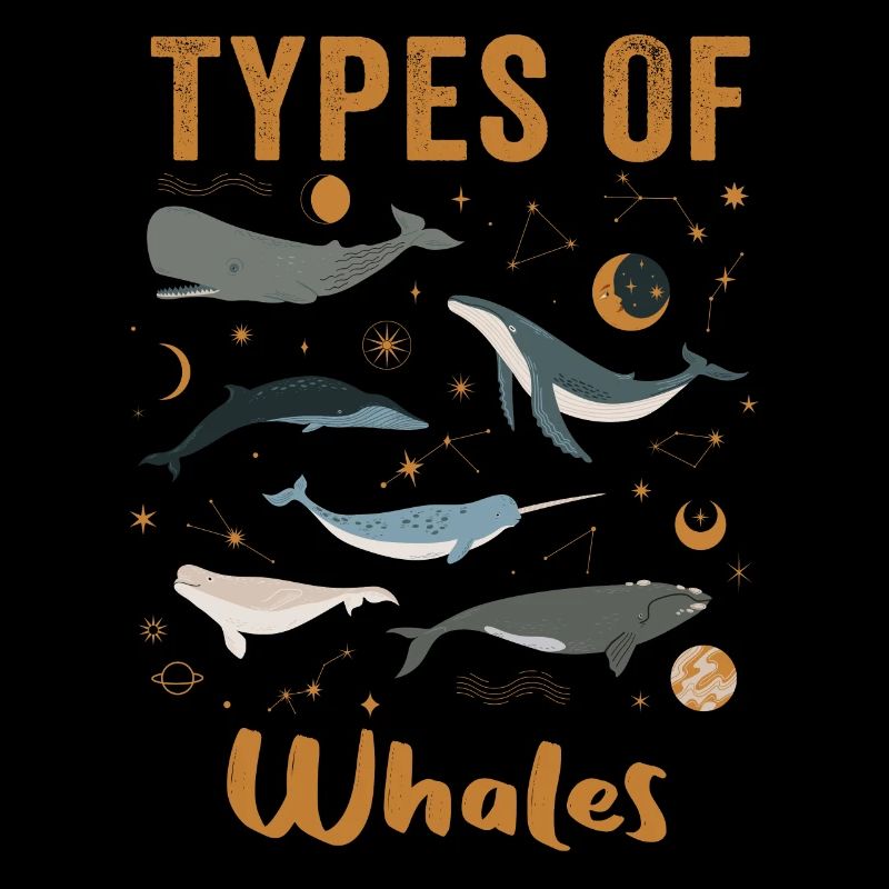 Types de baleines Whale Lovers Whales Espèces de baleines