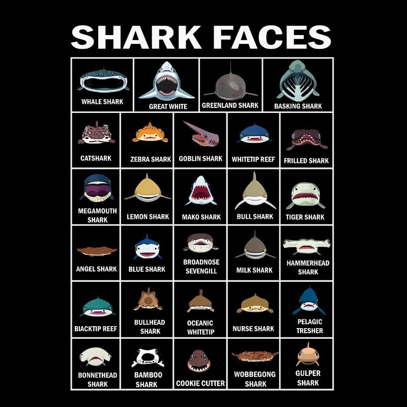 Types de visages de requins. Identification du visage du requin