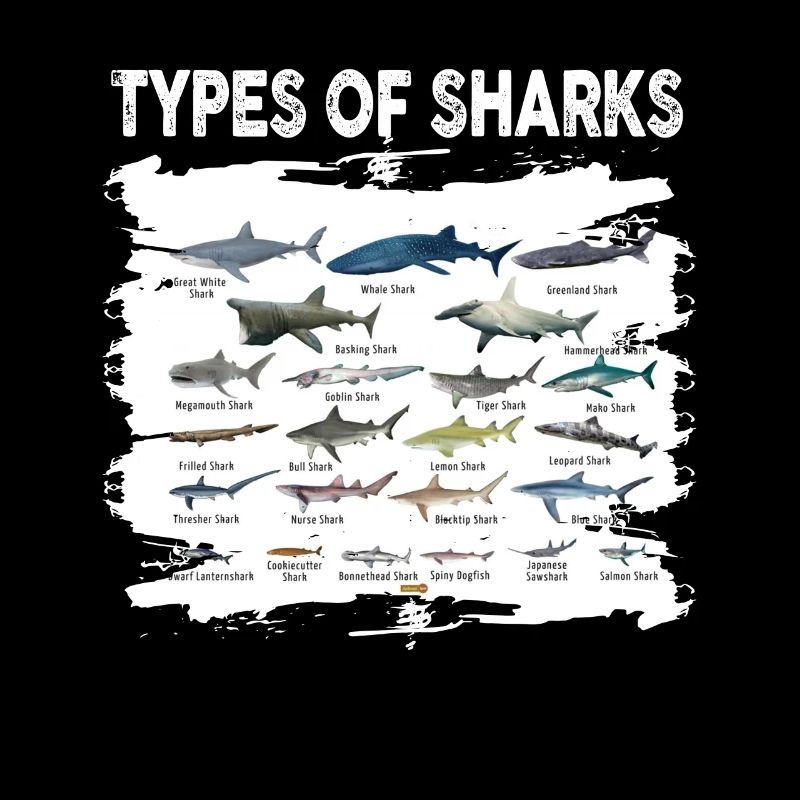 Types de requins