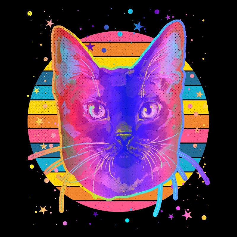 Chat birman Rainbow Space Black