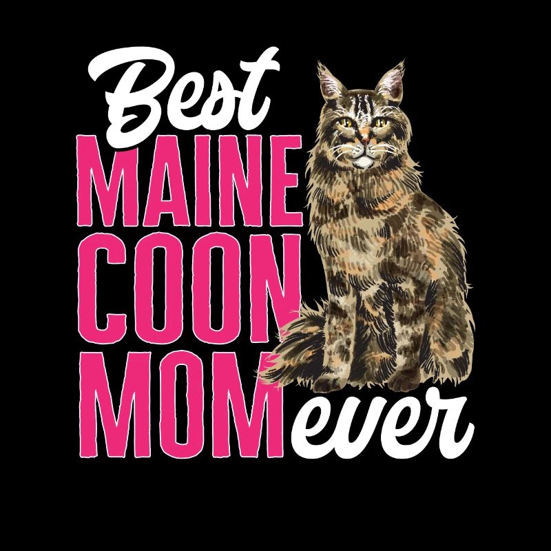 Maine Coon Chat