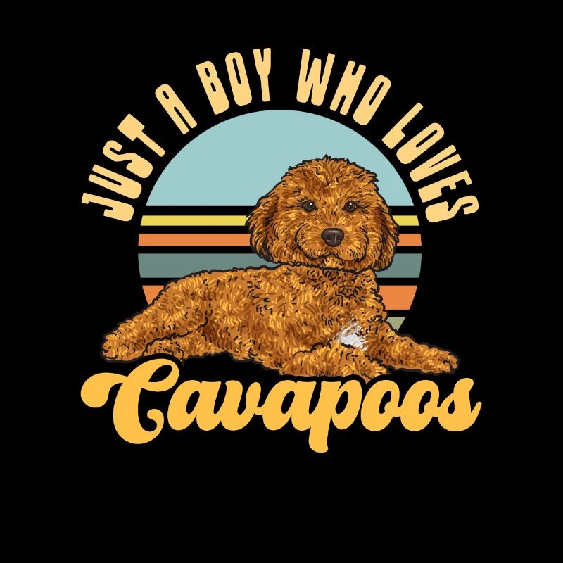 Cavapoo Cavoodle Capoodle Hund