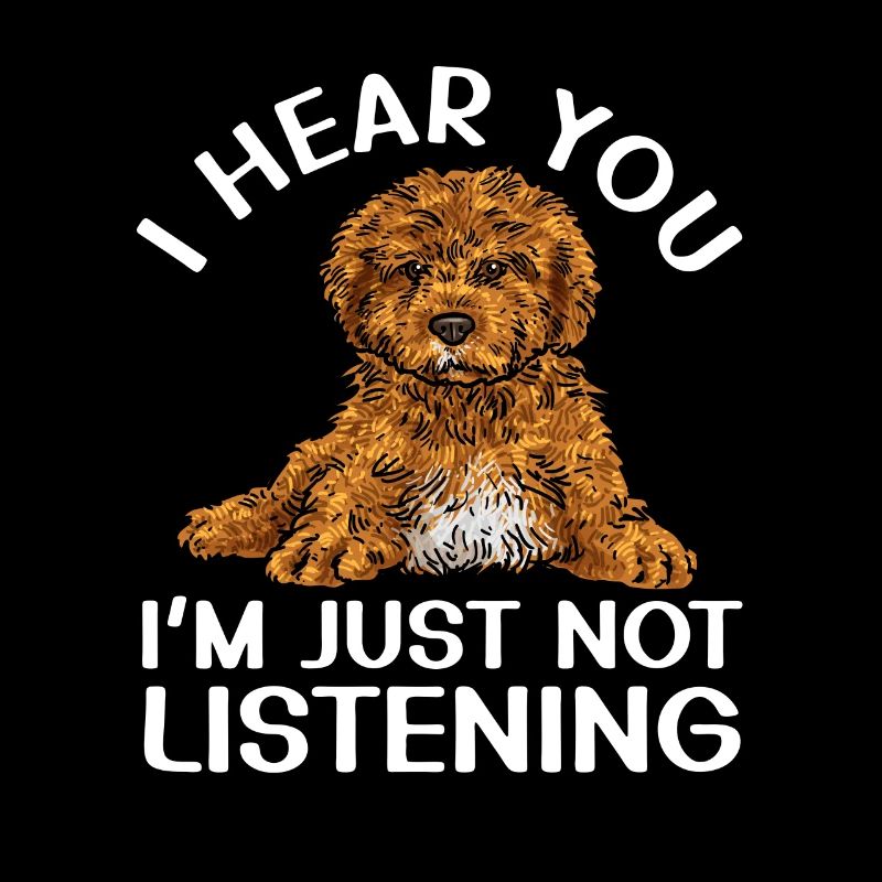 Cavapoo Cavoodle Capoodle Hund