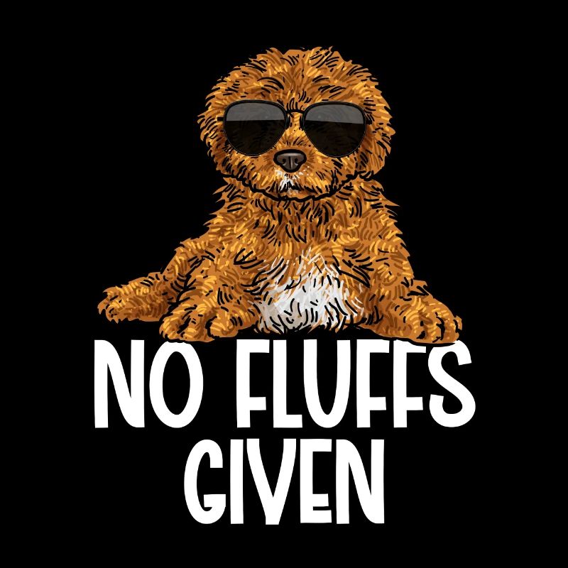 Cavapoo Cavoodle Capoodle Chien