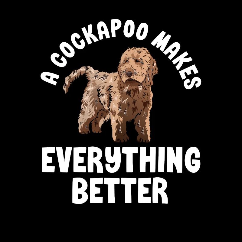 Cockapoo Hund