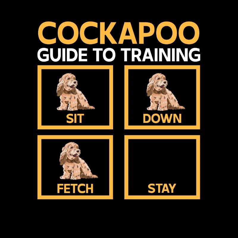 Cockapoo Chien