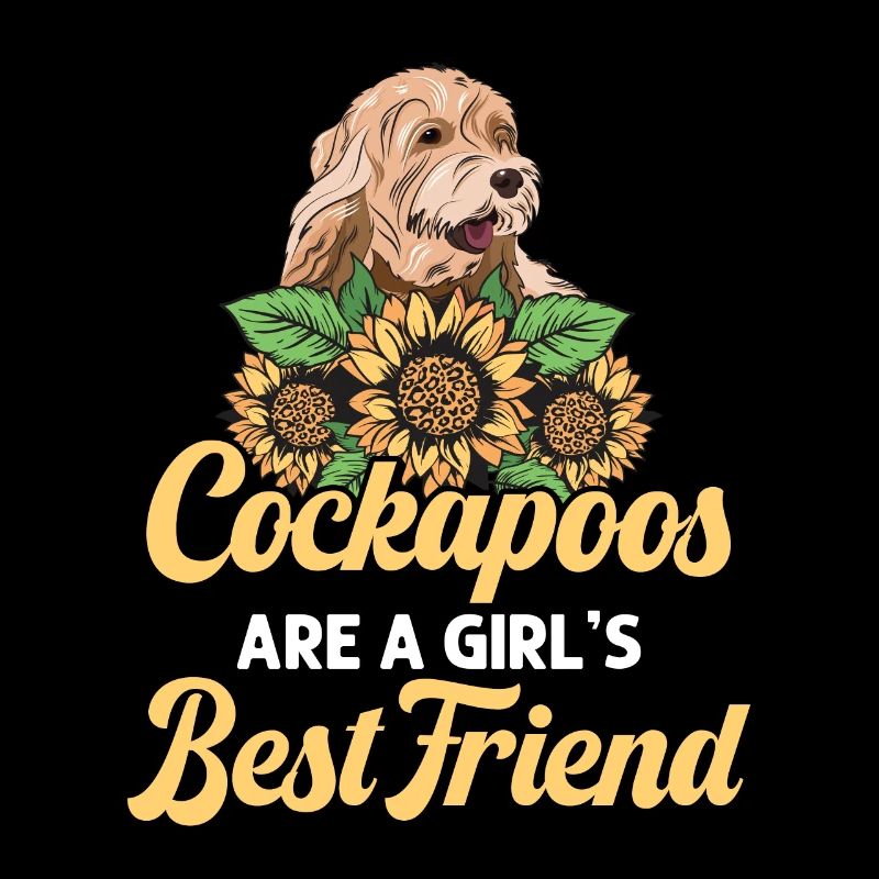 Cockapoo Hund
