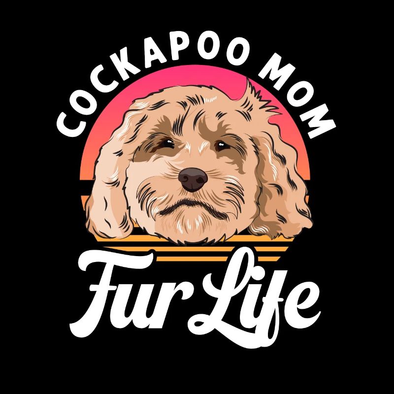 Cockapoo Hund