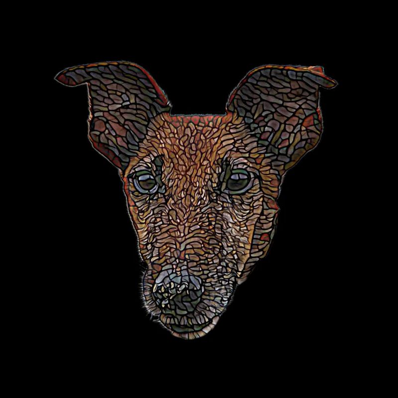 Smooth Fox Terrier Face