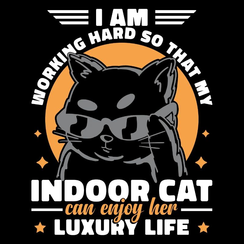 Drôle de chat d’intérieur